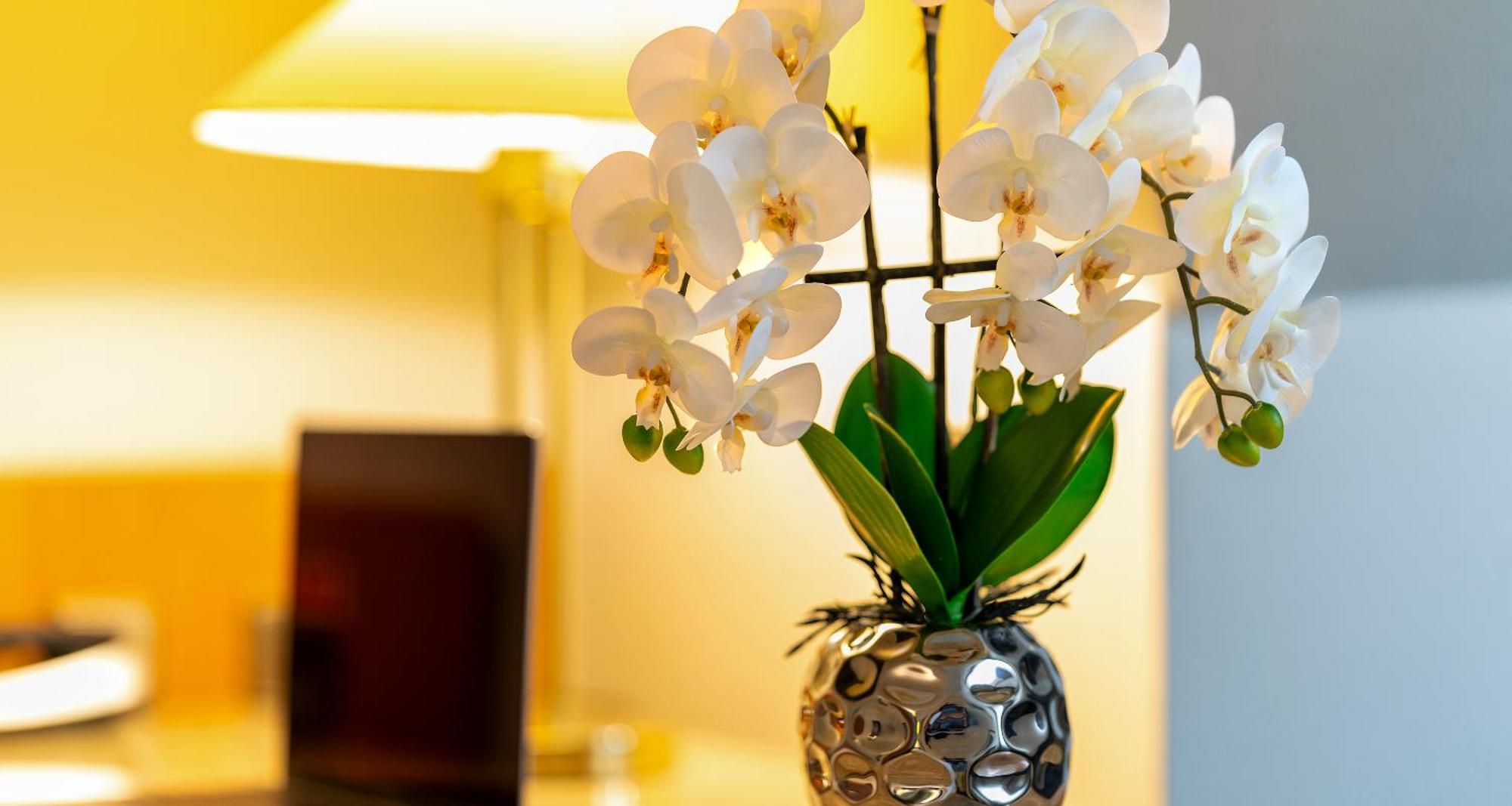 Plaza Inn Blankenburg Ditzingen, Sure Hotel Collection Екстер'єр фото